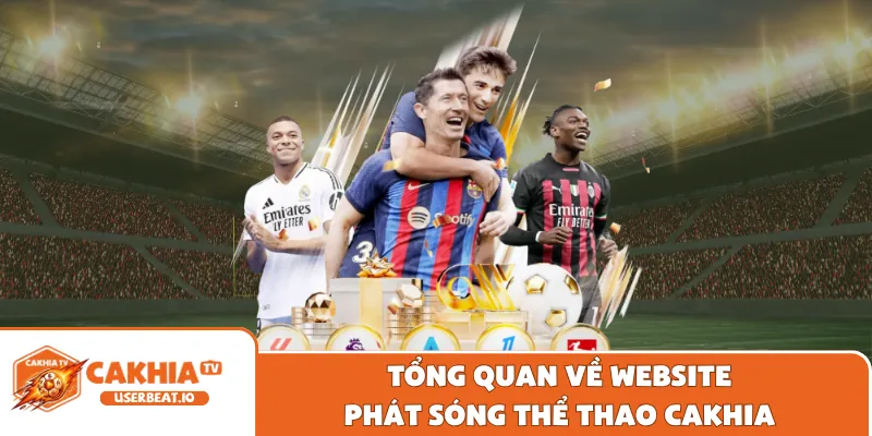 Trang Chủ 14 Tổng quan về website phát sóng thể thao Cakhia